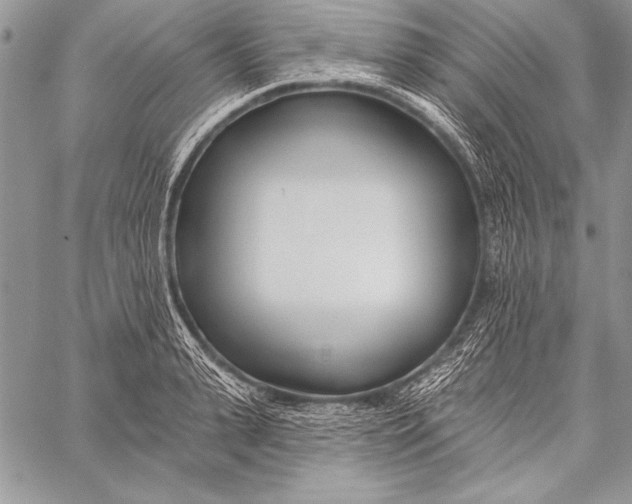 X0000058120943200510171306