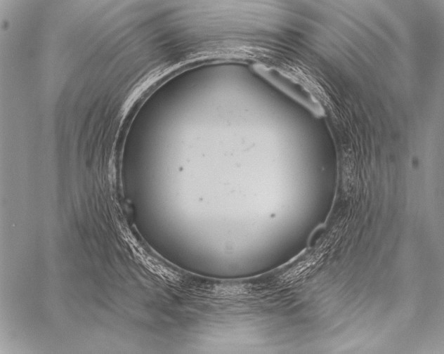 X0000058120944200510171306