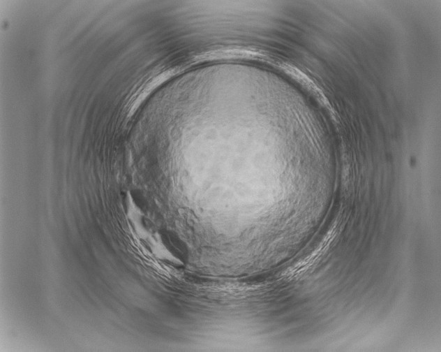 X0000058120945200510171306