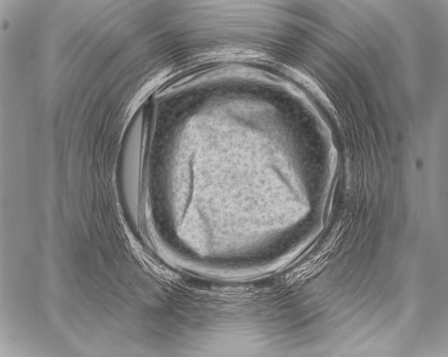 X0000058120946200510171306