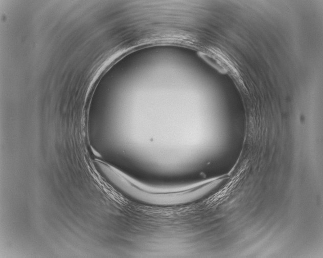 X0000058120948200510171306