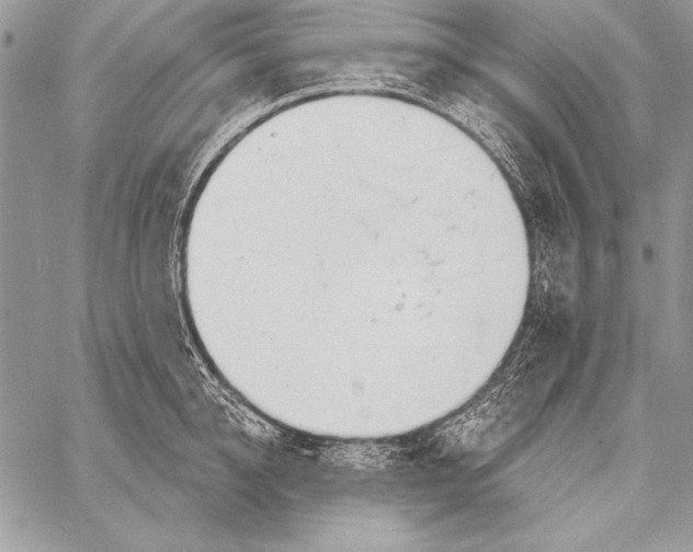 X0000058120950200510171307