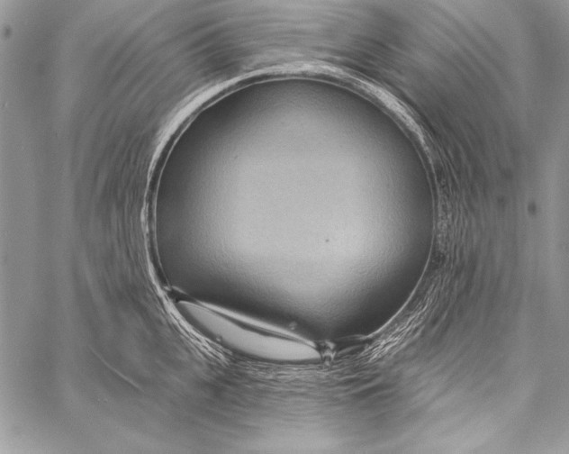 X0000058120951200510171307