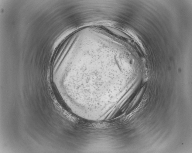 X0000058120952200510171307