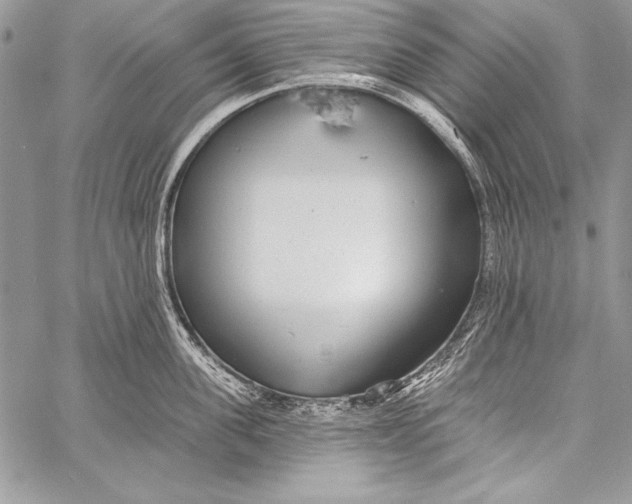 X0000058120955200510171307