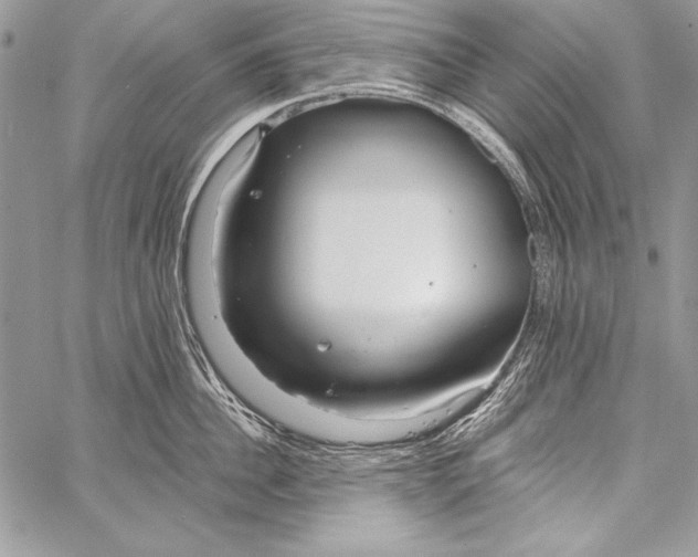 X0000058120956200510171307