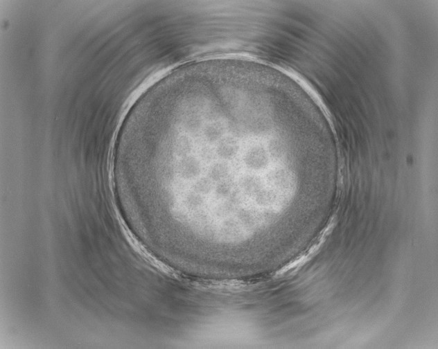 X0000058120957200510171307