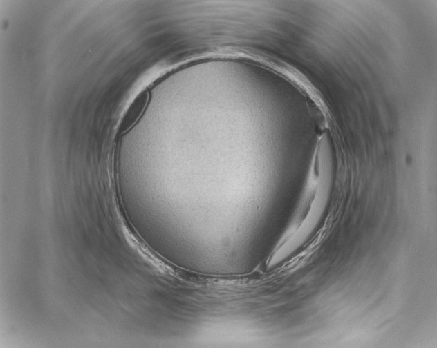 X0000058120958200510171307