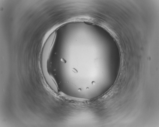 X0000058120960200510171307