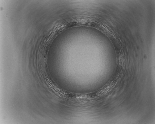 X0000058120961200510171306