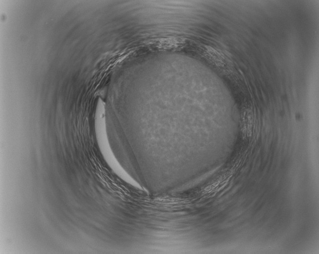 X0000058120962200510171306