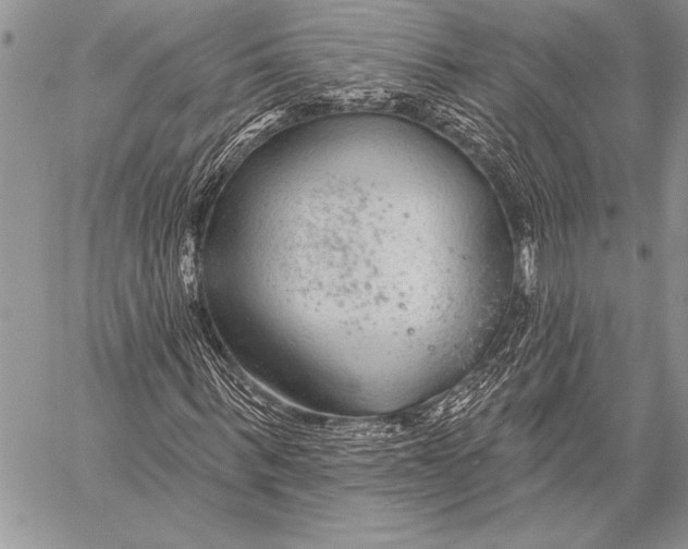 X0000058120963200510171306