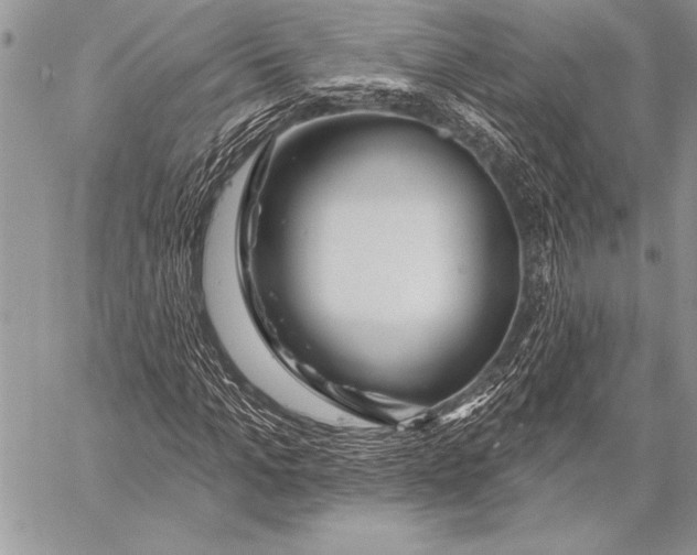 X0000058120965200510171306