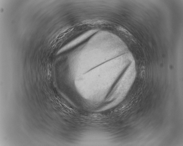 X0000058120966200510171306