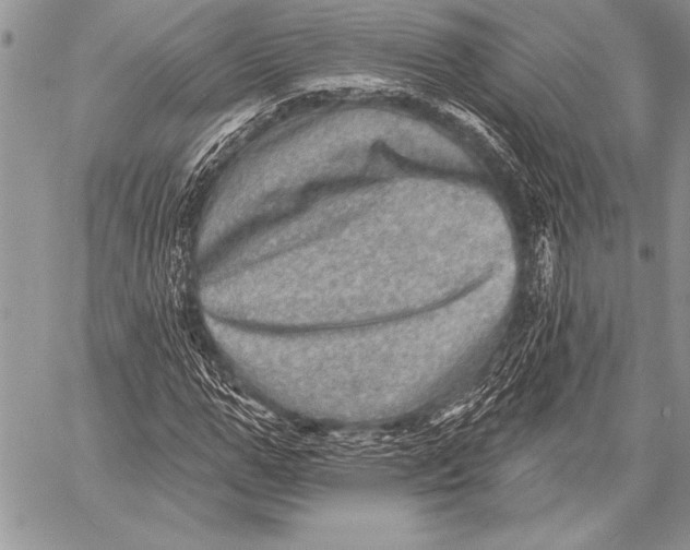 X0000058120967200510171306