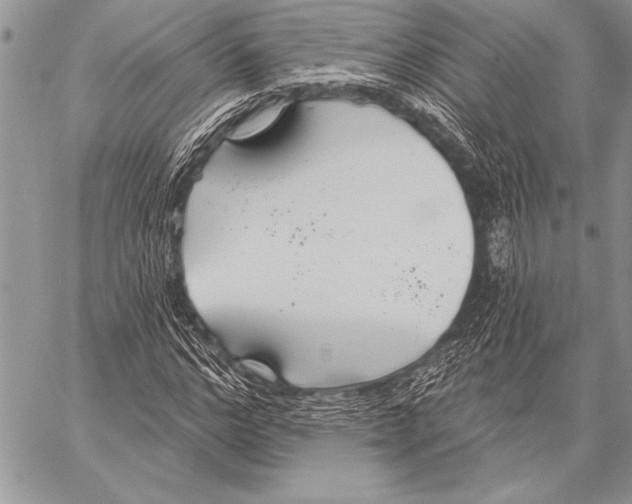 X0000058120968200510171306