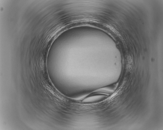 X0000058120969200510171306