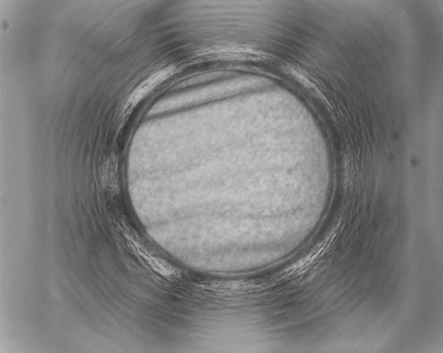 X0000058120970200510171306