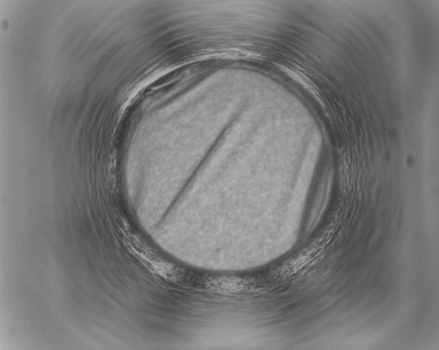 X0000058120971200510171306