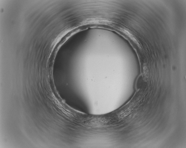 X0000058120972200510171306