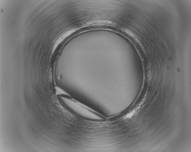 X0000058120973200510171306