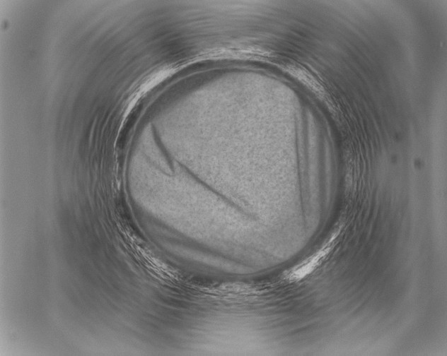 X0000058120974200510171306