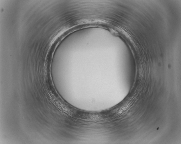 X0000058120975200510171306