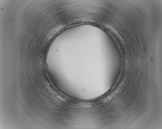 X0000058120977200510171306