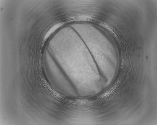 X0000058120978200510171306