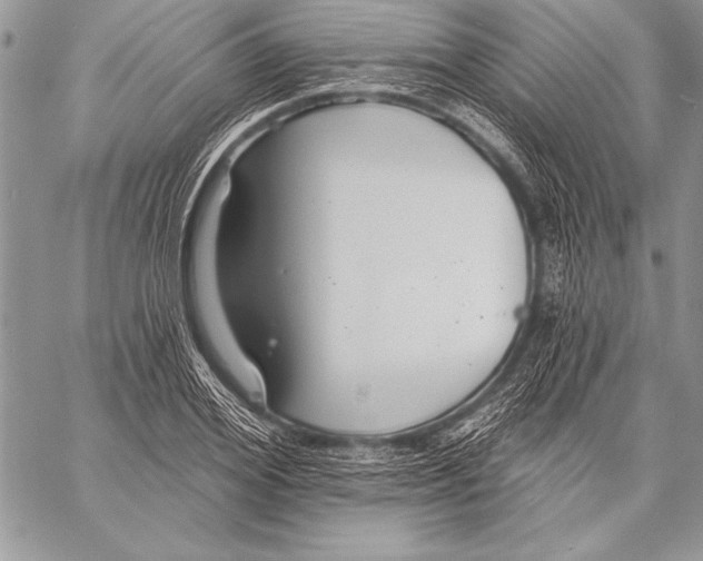 X0000058120980200510171306