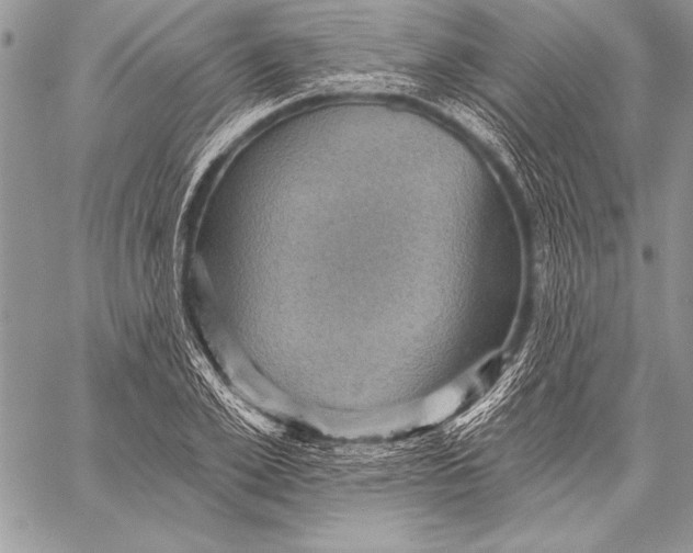 X0000058120981200510171306