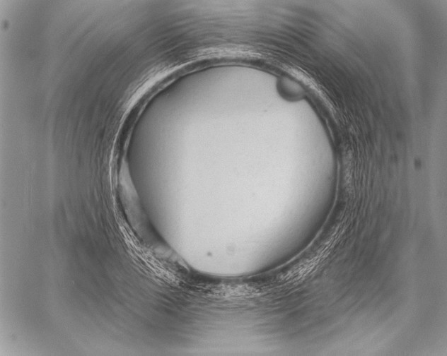 X0000058120983200510171306