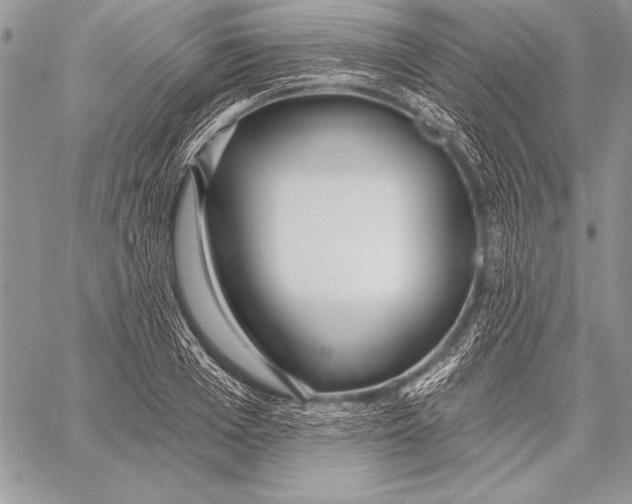 X0000058120985200510171305