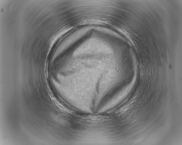 X0000058120987200510171305