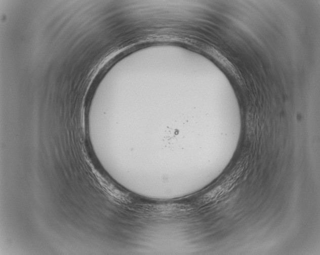 X0000058120988200510171305