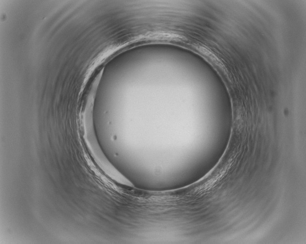 X0000058120989200510171305