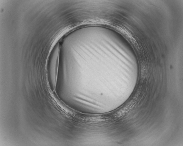 X0000058120990200510171305