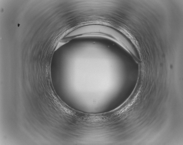 X0000058120993200510171305