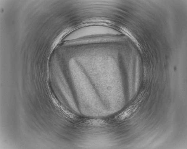 X0000058120994200510171305