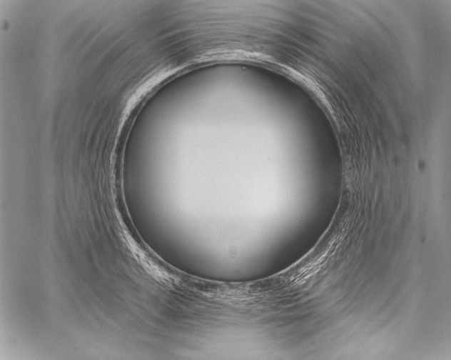 X0000058120995200510171305