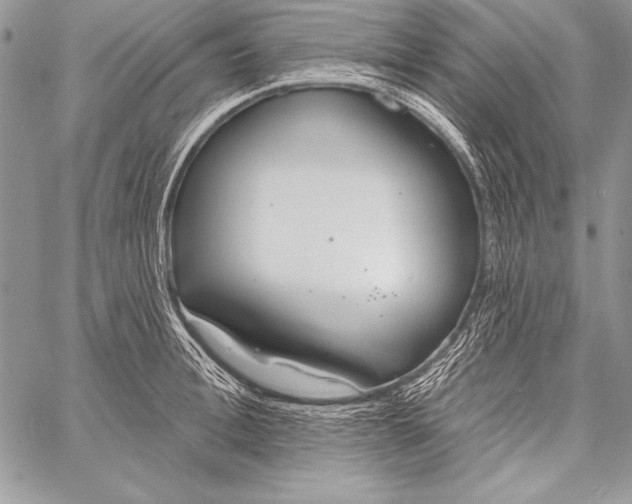 X0000058120996200510171305