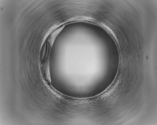 X0000058120997200510171305