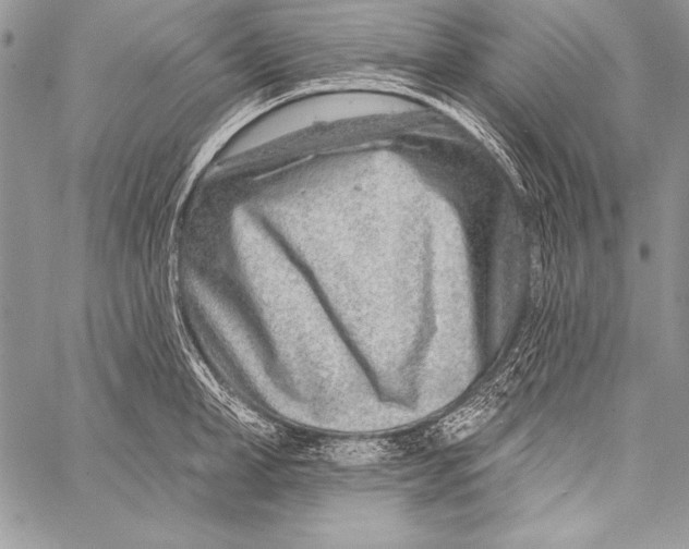 X0000058120998200510171305