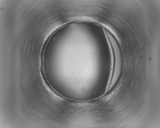 X0000058120999200510171305