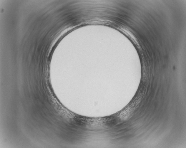 X0000058121000200510171305