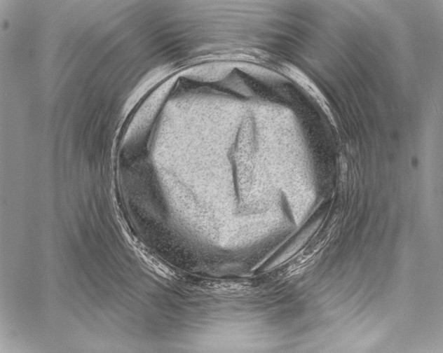 X0000058121002200510171305