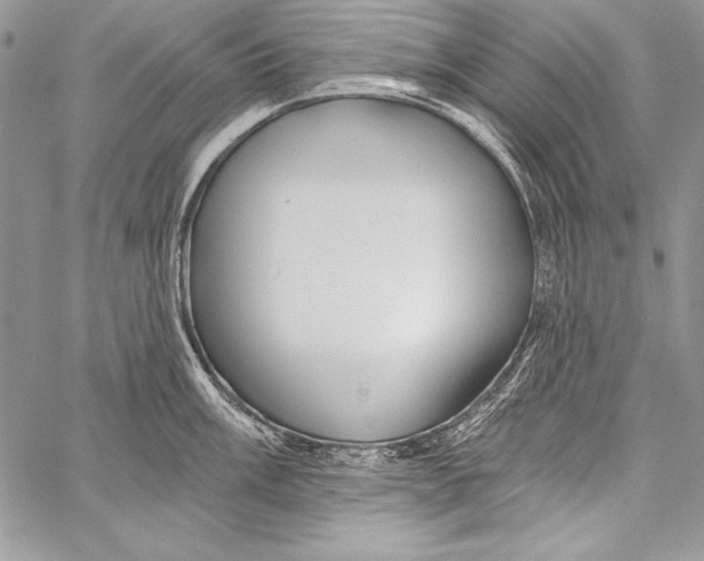 X0000058121003200510171305