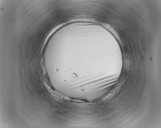 X0000058121004200510171305