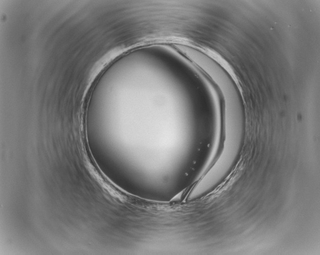 X0000058121005200510171305