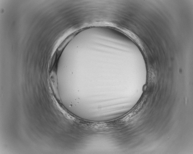 X0000058121006200510171305